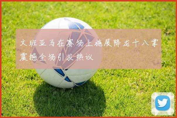 文班亚马在赛场上施展降龙十八掌震撼全场引发热议